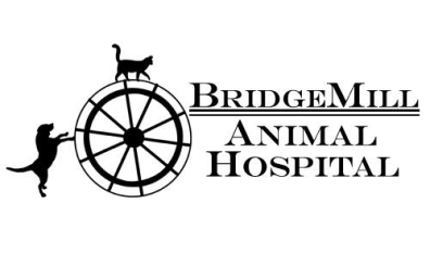 BridgeMill Animal Hospital-HeaderLogo